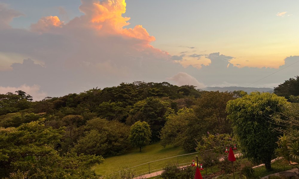 Hidden Canopy Treehouses Boutique Hotel