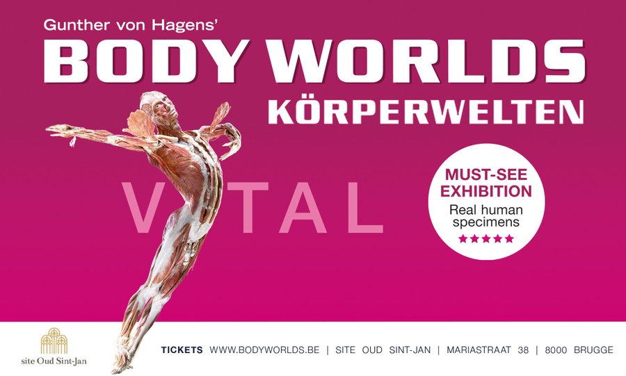 Visit expo BODY WORLDS at site Oud Sint-Jan in Bruges until 5 november 2023