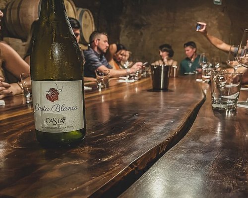 wine tours in baja california