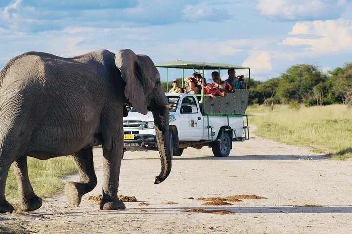 2024 (Etosha National Park) Safari in Etosha national park with ...