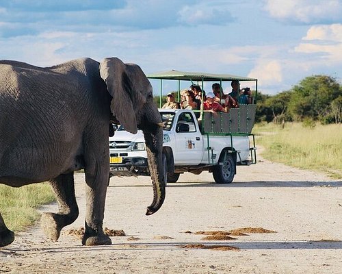 namibia best safari