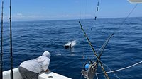 Deep Sea Fishing Tackle - Double Nickel Charters Costa Rica