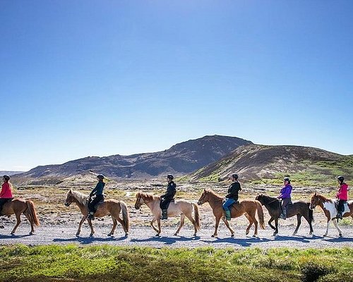 excursions to iceland