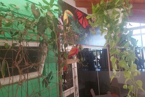 Habitación y suite