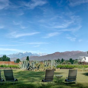 Panoramic view