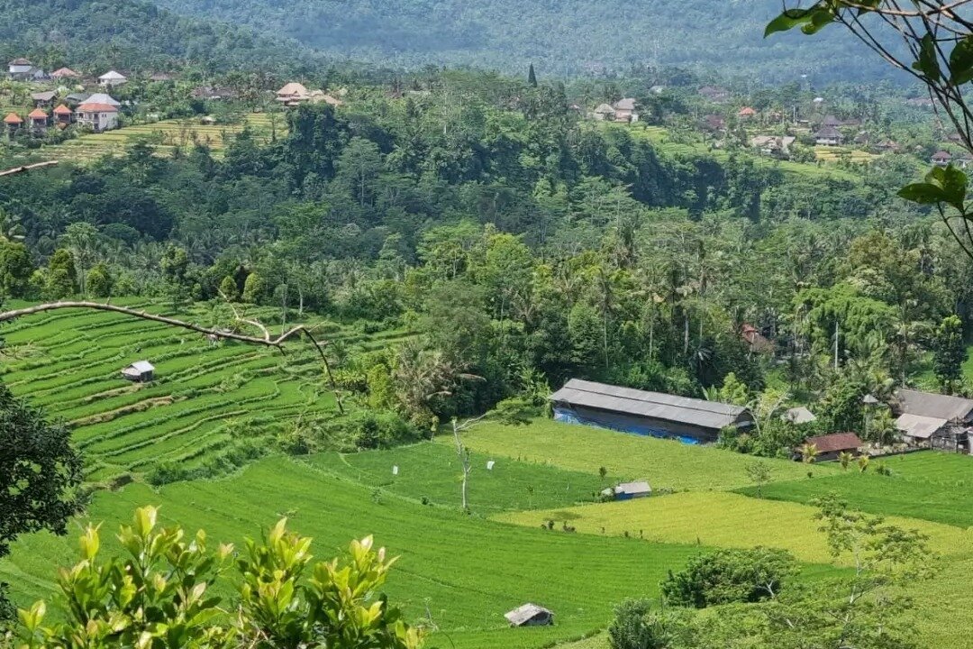 10 Objek Wisata Terbaik Di Jatiluwih - Tripadvisor