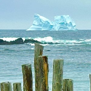places to visit in eastern newfoundland