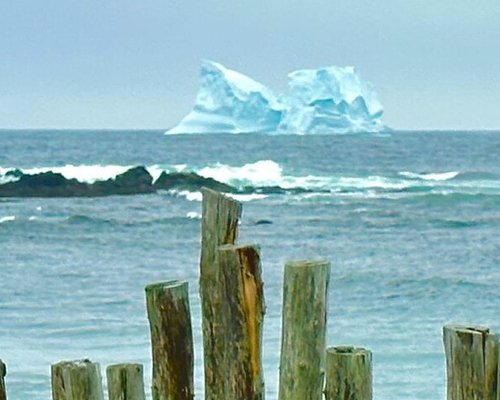 The Rooms in Downtown St. John's - Tours and Activities