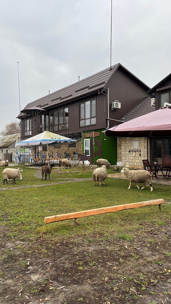 ДОМ ХАСКИ (Кладьківка) - отзывы, фото и сравнение цен - Tripadvisor