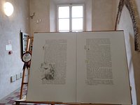 Albero genealogico dei Malatesta - Foto di Biblioteca Malatestiana, Cesena  - Tripadvisor
