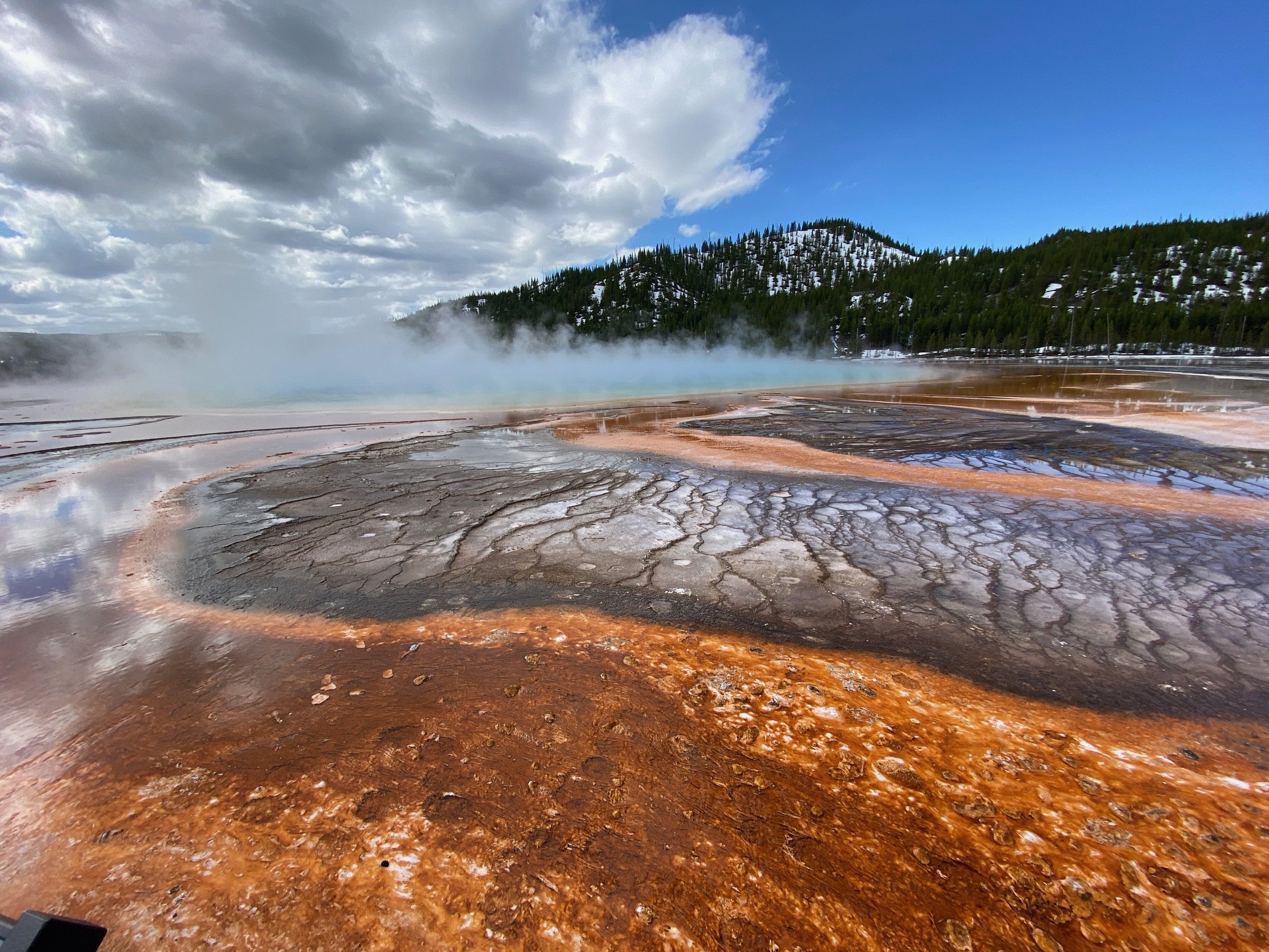 2023 Yellowstone Full Day Program