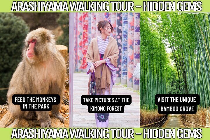 2023 Kyoto Arashiyama & Sagano Bamboo Private Tour With Government ...