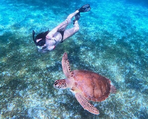 THE 10 BEST Cozumel Scuba Diving & Snorkeling (Updated 2023)