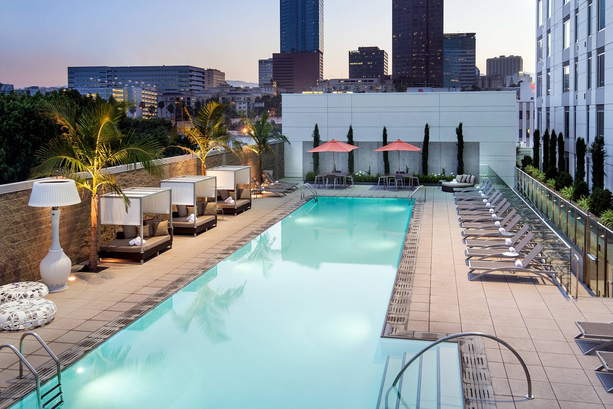 9 Dog-Friendly Hotels In Los Angeles - PureWow