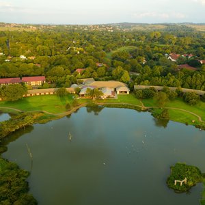 Arial View