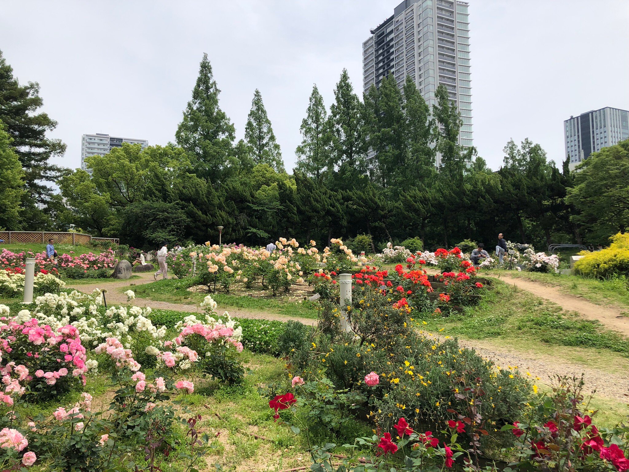 2025年 靭公園 - 出発前に知っておくべきことすべて - トリップ