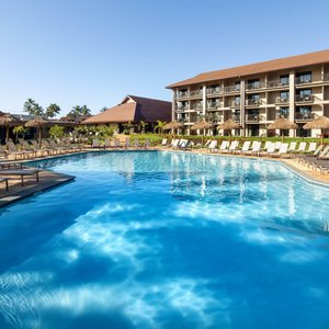 Garden Swimming Pool