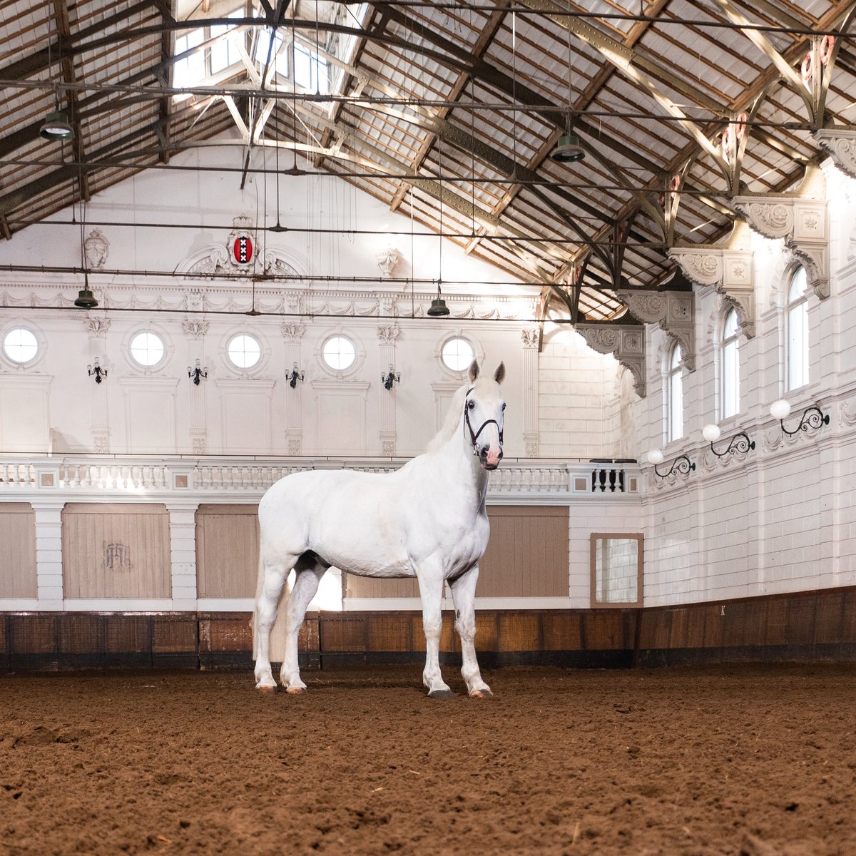 Levend Paardenmuseum De Hollandsche Manege, Амстердам: лучшие советы перед  посещением - Tripadvisor