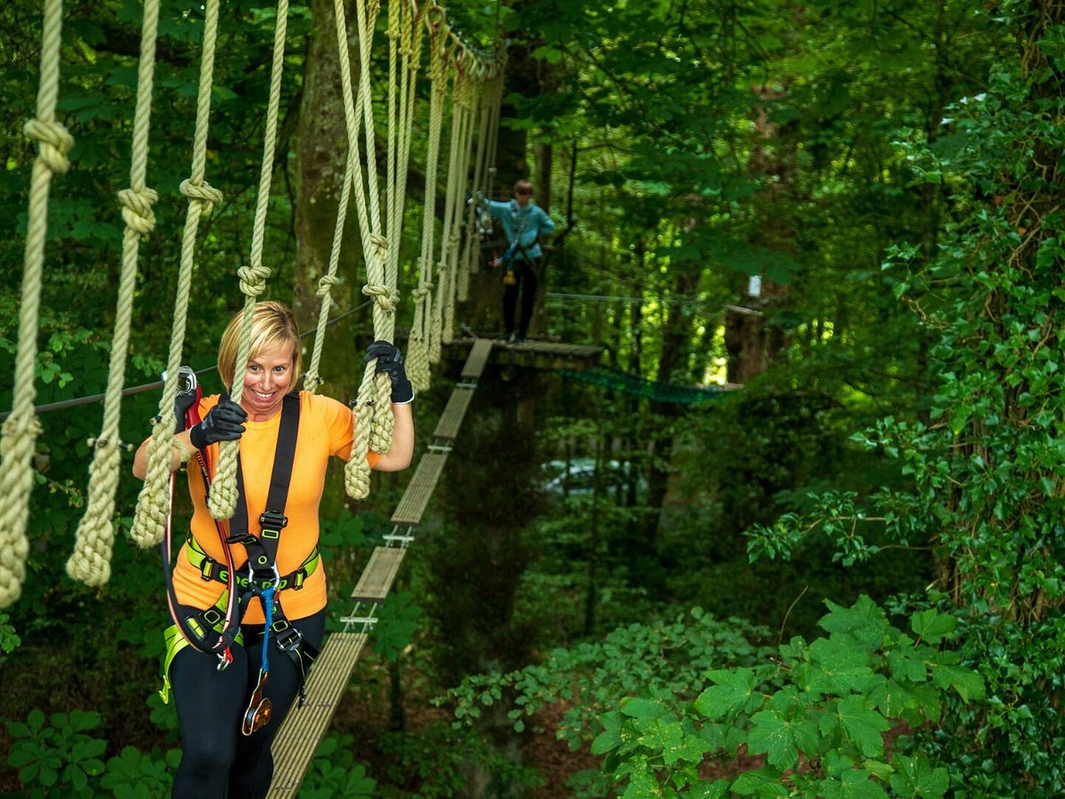Welcome to Adventure - Zipit Forest Adventures