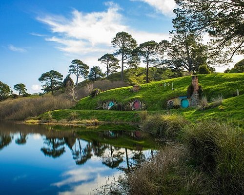 new zealand day tours from auckland
