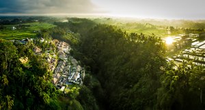 Viceroy Bali in Ubud