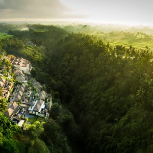 THE KAYON JUNGLE RESORT (BRESELA, INDONÉSIA): 3.123 fotos, comparação de  preços e avaliações - Tripadvisor