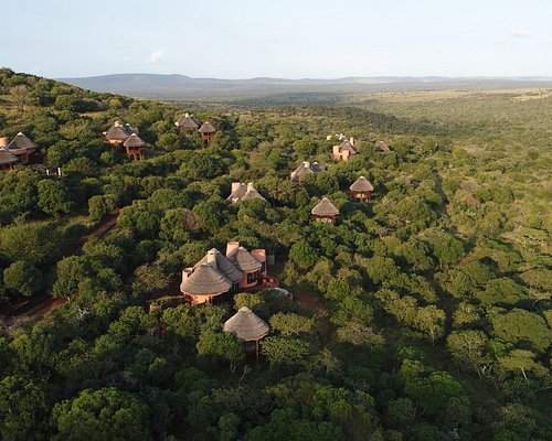 THANDA SAFARI LODGE - Updated 2024 Prices & Reviews