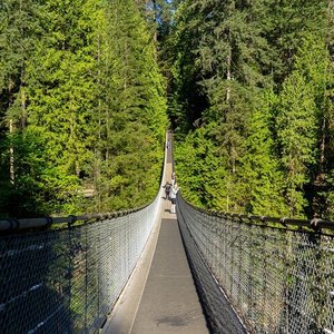 2023 Grouse Mountain & Capilano Suspension Bridge Park