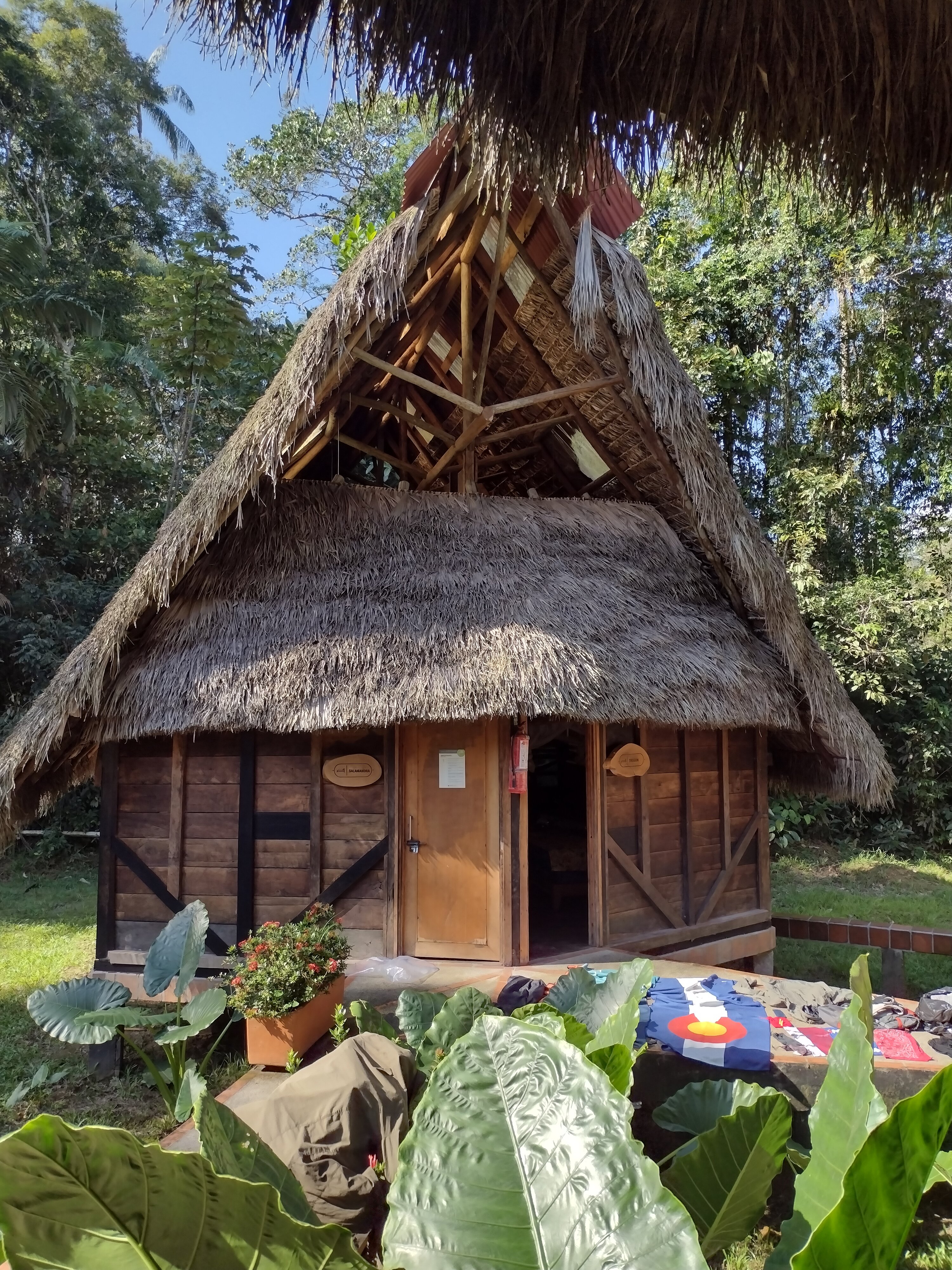 JAMU LODGE - Updated 2024 Reviews (Cuyabeno Wildlife Reserve, Ecuador)