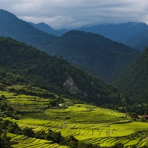 View From COMO Shambhala Retreat Building