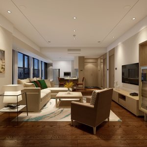 One Bedroom Apartment