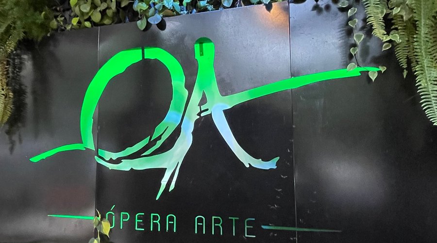 Entrada Pelas escadarias da Ópera de Arame