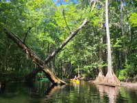 Shingle Creek Regional Park - Steffee Landing