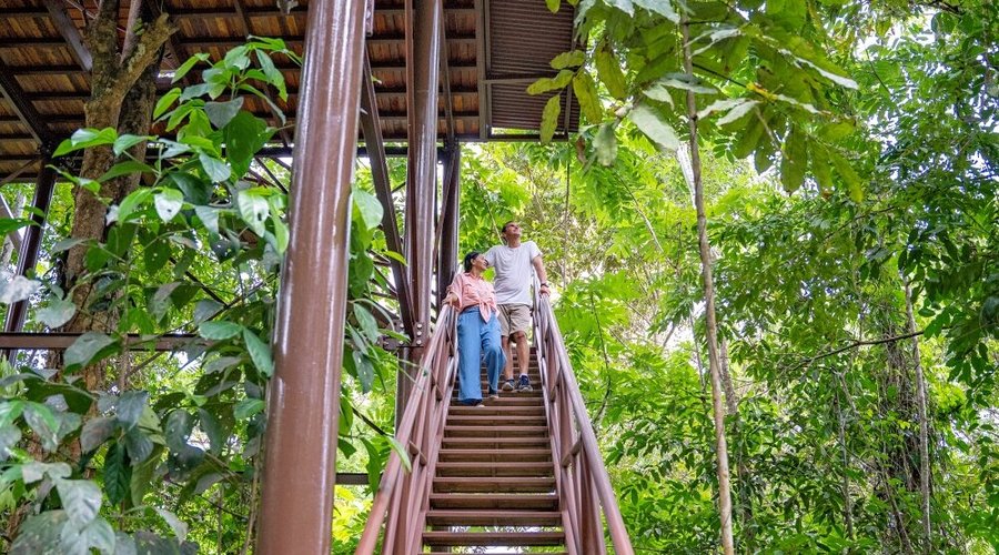 TREE HOUSE 