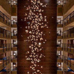 Butterfly Wall