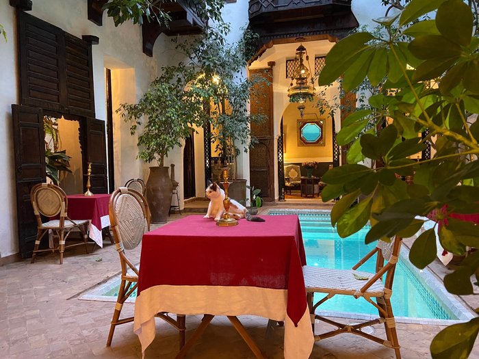 Imagen 4 de Riad lyla Marrakech