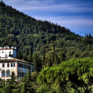 Il Salviatino