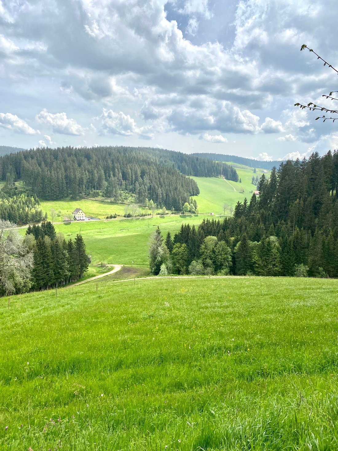 Café Martin, St. Peter im Schwarzwald - 레스토랑 리뷰 - 트립어드바이저