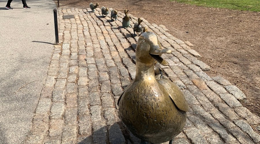 Es quizás una de las estampas más típicas del parque