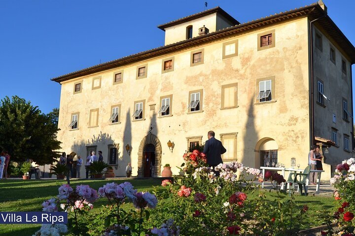 I MIGLIORI 10 Tour dei vini e degustazioni a Arezzo 2024