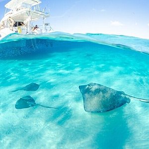 Saiba como é nadar com arraias em Stingray City, nas Ilhas Cayman