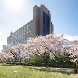 THE 10 BEST Marriott Hotels in Tokyo, Japan - Tripadvisor