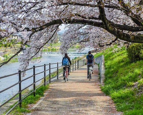 cycle tour kyoto