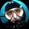Diver Stars