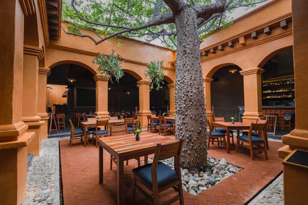 THE 10 BEST Restaurants in Oaxaca Updated March 2024