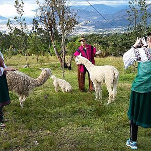 Ecuador Highland Family Adventure - 4 Days by Tierra del Volcan with 1 Tour  Review (Code: FAMILY4D) - TourRadar