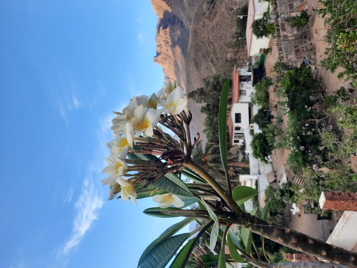 BIO FINCA GRAN CANARIA - Ranch Reviews (Las Palmas de Gran Canaria)