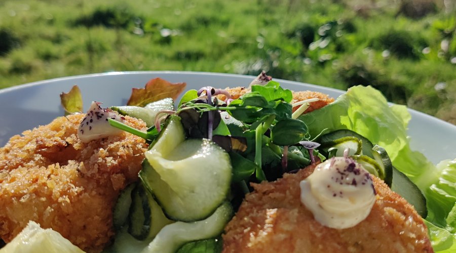 Cácaí Portáin | Crab Cakes 2