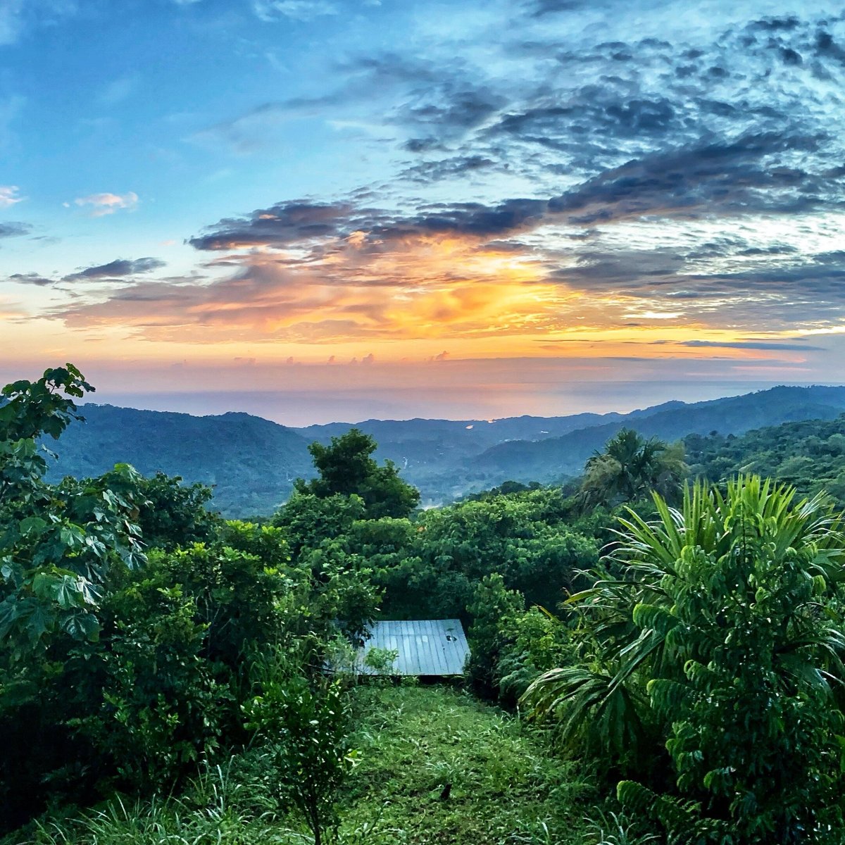 Huaorani Ecolodge