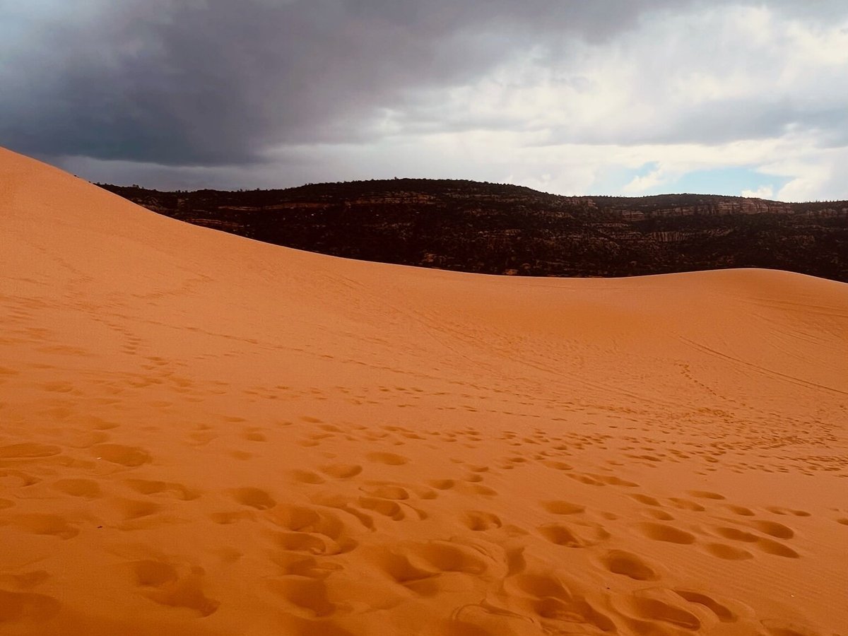 Find Bigfoot at Coral Pink Sand Dunes